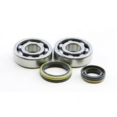crank_bearing_kit_prox.jpg